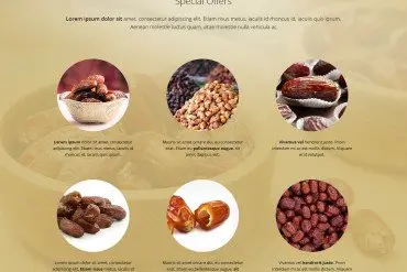 Web Design 14