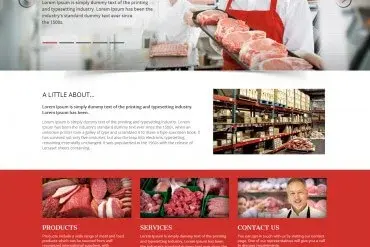 Website design project